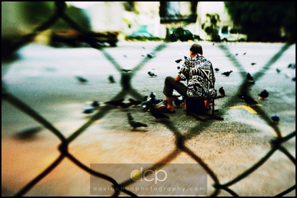 Pigeon-feeding Man feeding pigeons