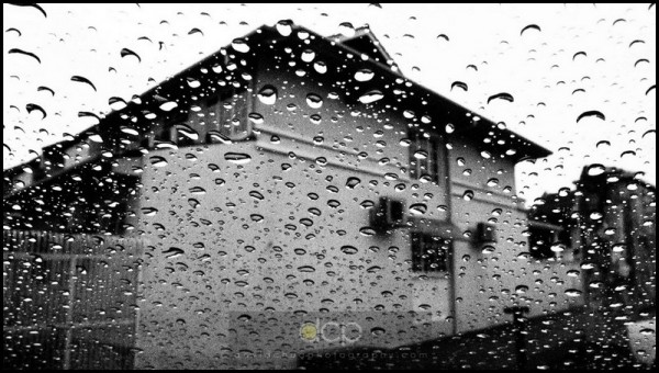 House Olympus E-P1, shot through car windscreen in a rain, B&W art filter