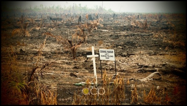 rest in peace Rest-in-Peace, 2nd Prize in "Be The Change Photo Competition"