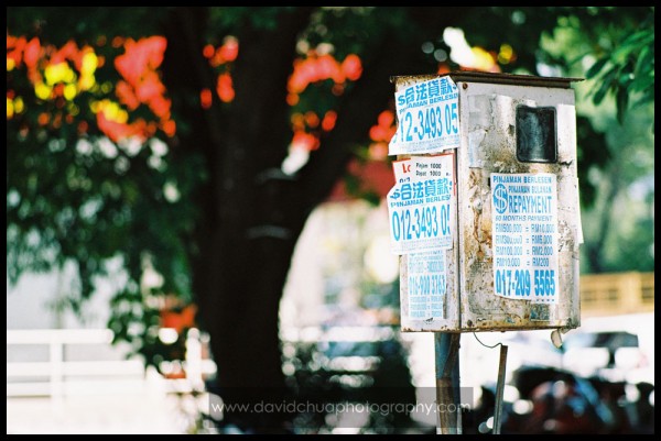 Loanshark Loanshark "Advertisements". I would love to do a close-up shot of a loanshark. Any volunteers?