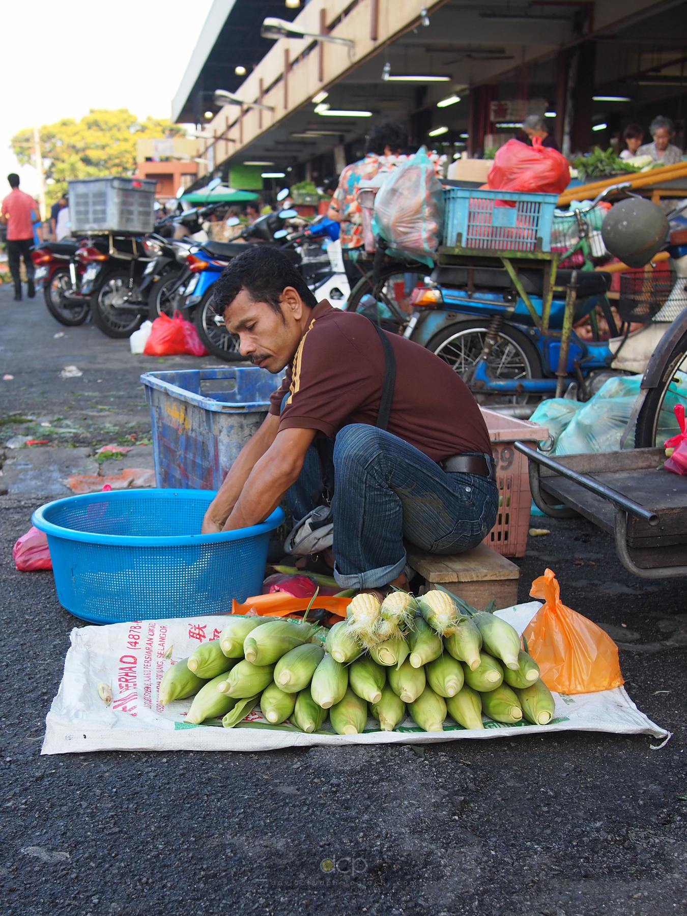 Corn Salesman