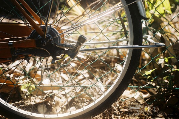 Also shot with the 1959-made Contaflex, using cheap China Lucky Color Negative Film