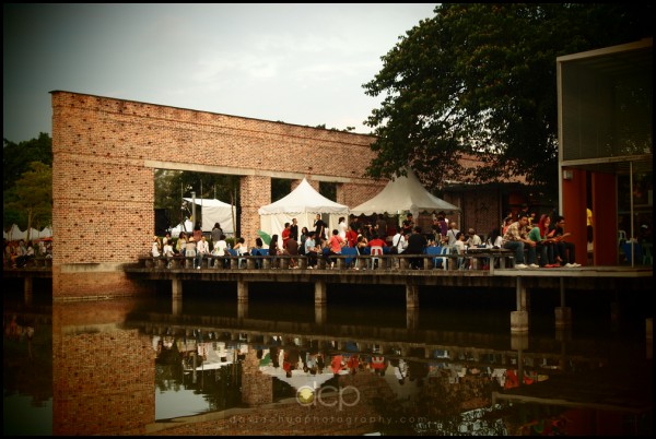 The Crowd