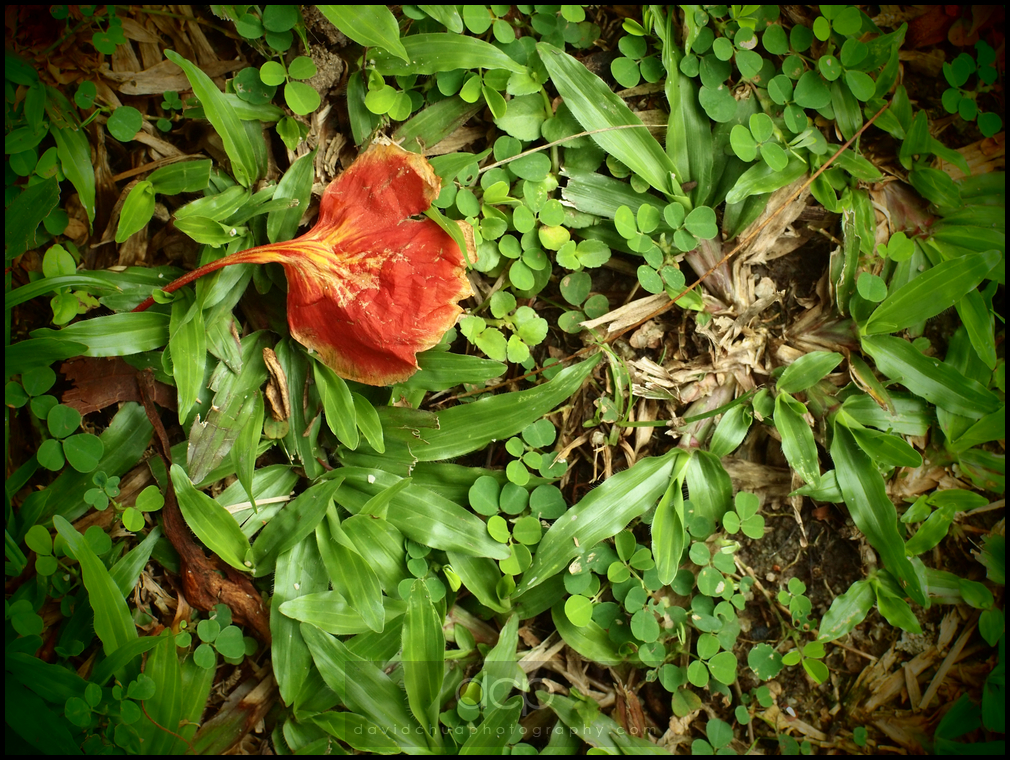 P7182784